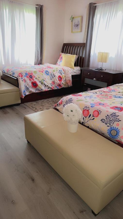 Miami Parkview Getaway Villa Kültér fotó
